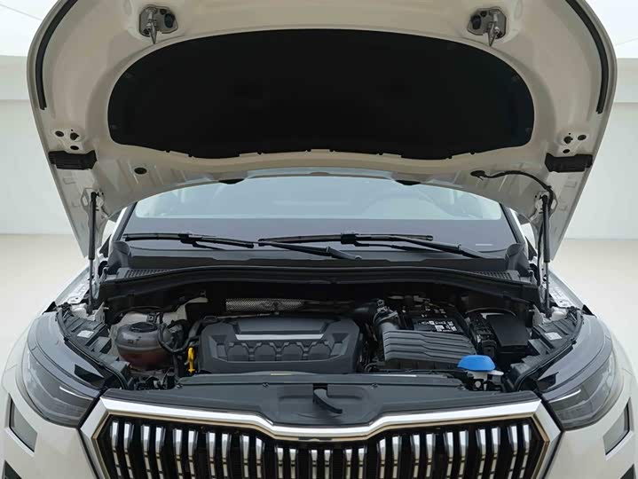 Skoda Kodiaq 2024 2024款 TSI330 5座两驱实力版