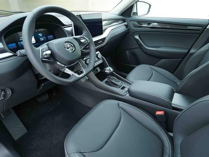 Skoda Kodiaq 2024 2024款 TSI330 5座两驱实力版