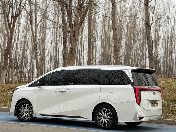 Фото 4 - GAC Trumpchi E9
