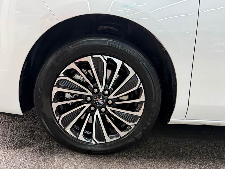 Buick GL8 Hybrid 2025 2025款 陆尚 尊享版
