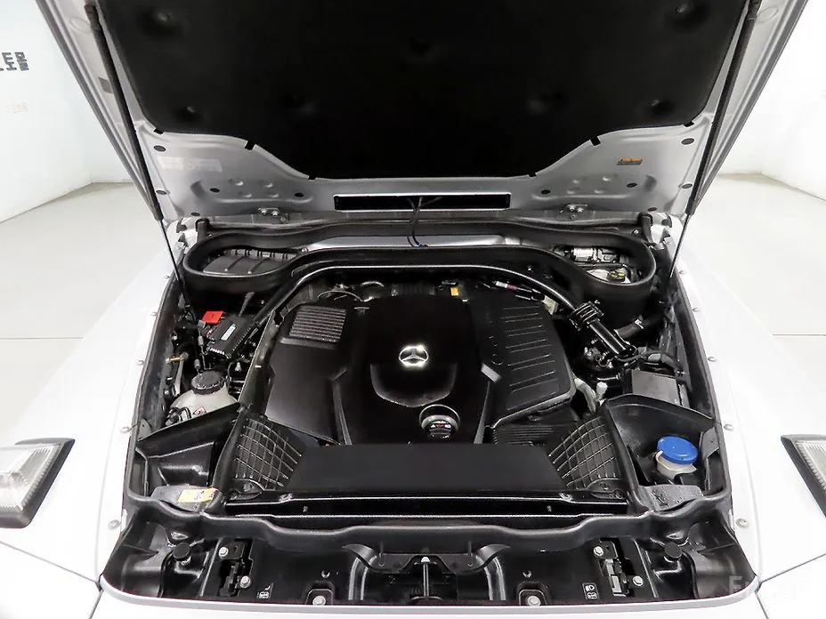 Mercedes-Benz G-Class 2024 G450d