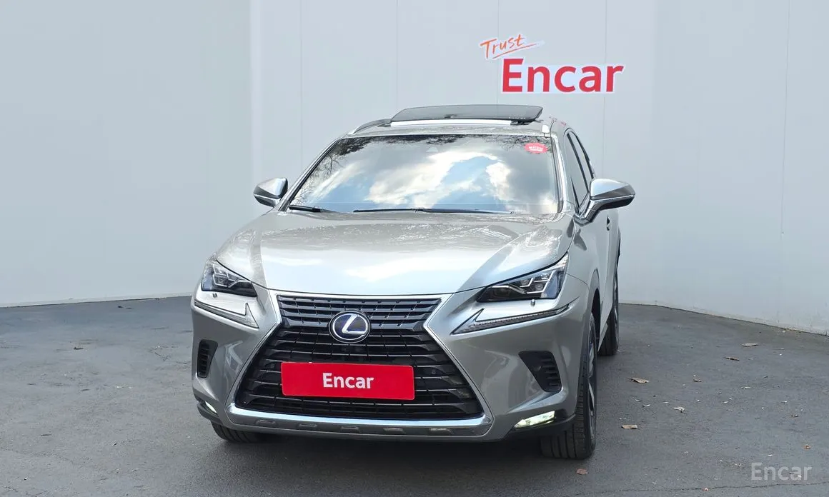 Фото 3 - Lexus NX