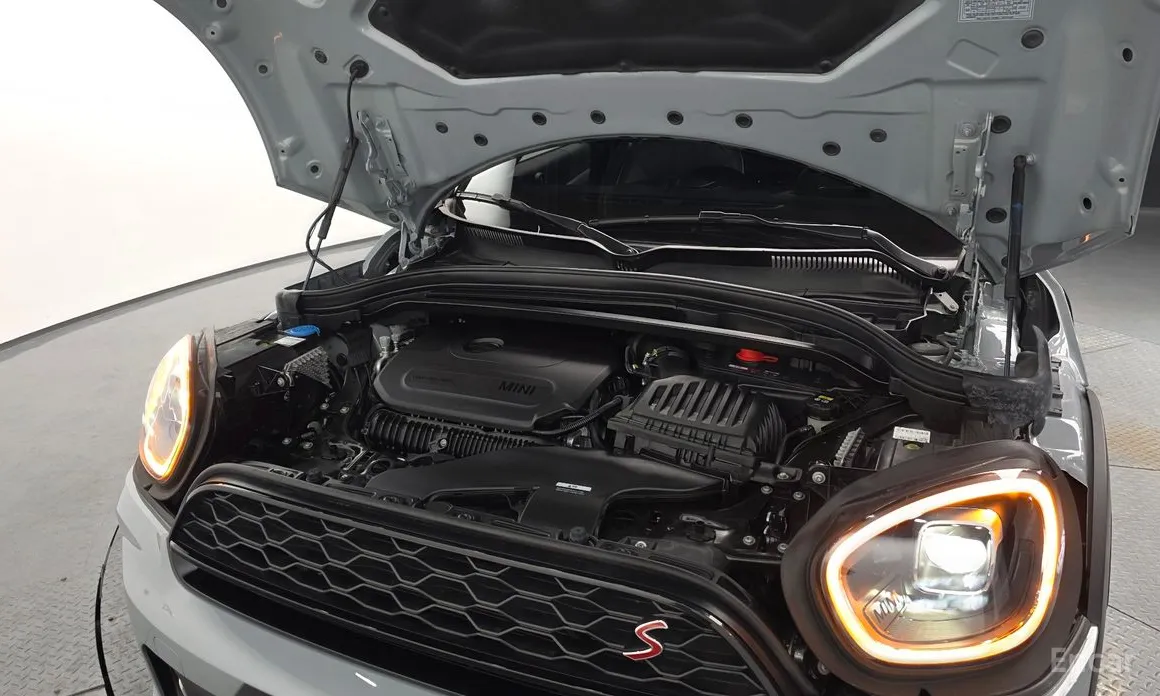 Mini Countryman 2011 ALL4 Untamed Edition
