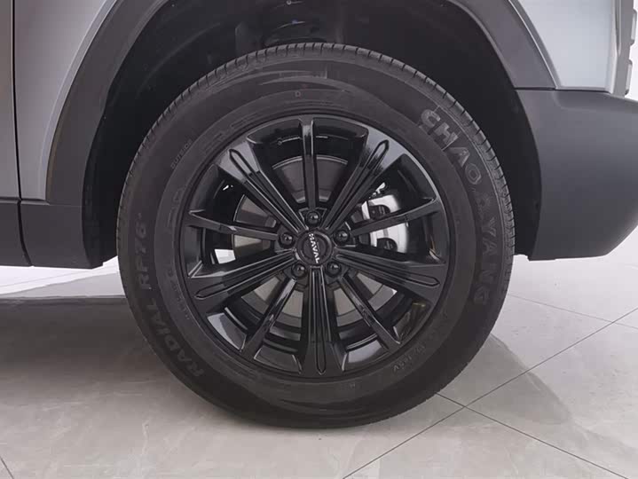 Haval Raptor Hybrid 2024 2024款 Hi4 102 Pro