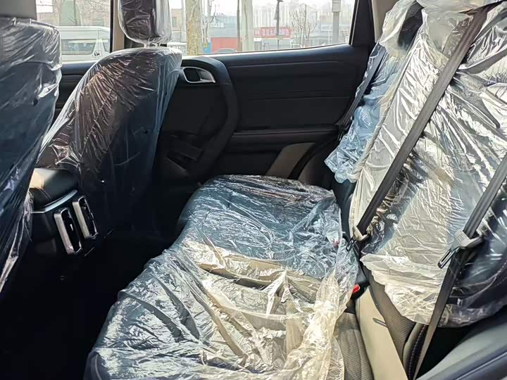 Haval Dargo 2026 2026款 2.0T DCT中华田园犬版