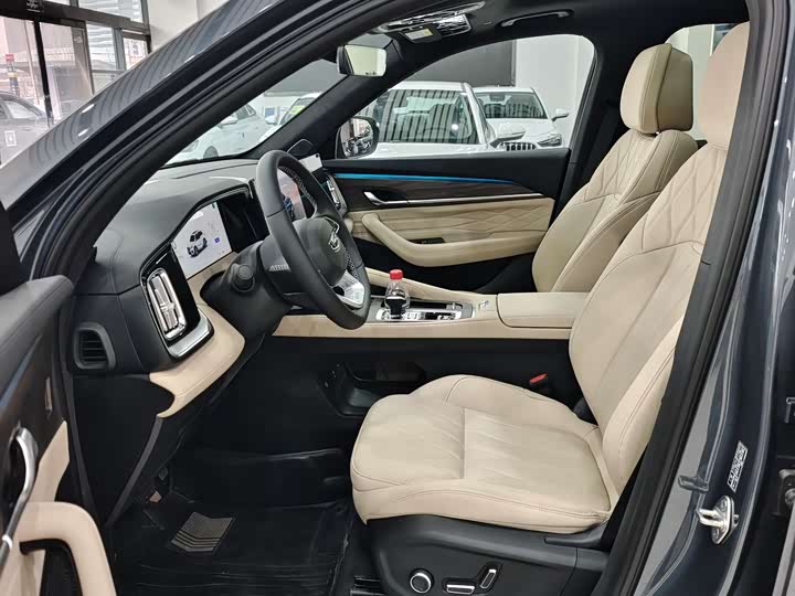 Geely Monjaro 2026 2026款 东方曜 2.0TD 自动揽星版