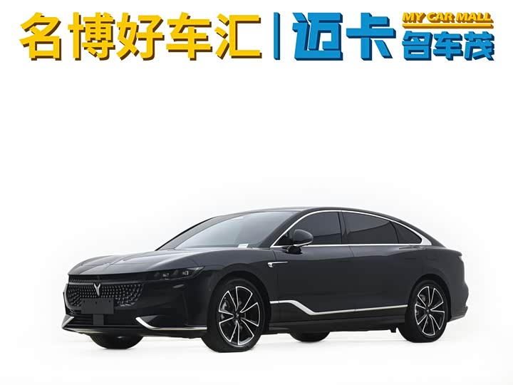 Voyah Passion 2024 2024款 PHEV 四驱超长续航旗舰版