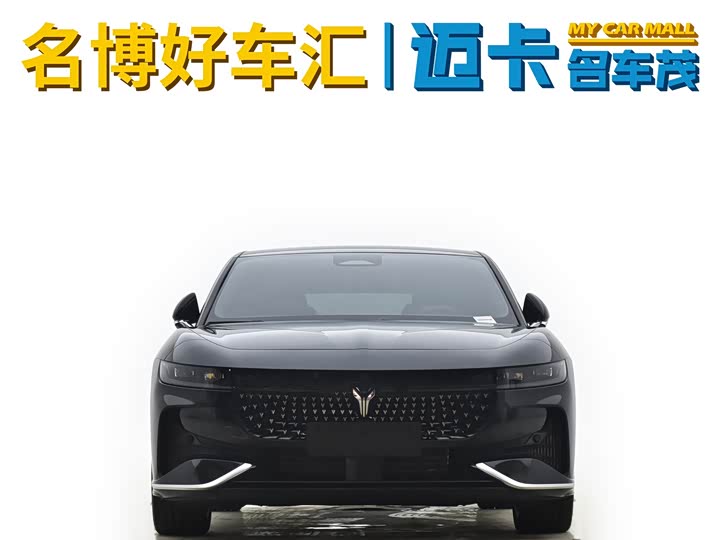 Voyah Passion 2024 2024款 PHEV 四驱超长续航旗舰版