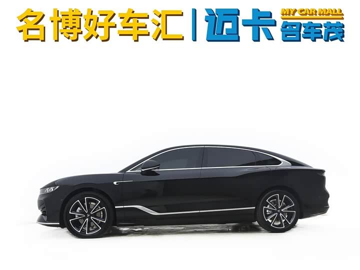 Voyah Passion 2024 2024款 PHEV 四驱超长续航旗舰版