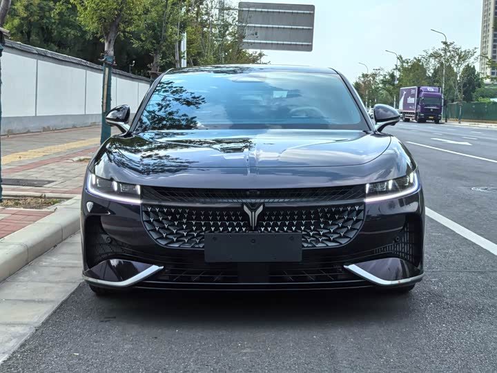 Voyah Passion 2024 2024款 PHEV 四驱超长续航旗舰版