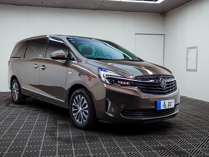 Buick GL8 ES 2020 2020款 陆上公务舱 652T 尊贵型