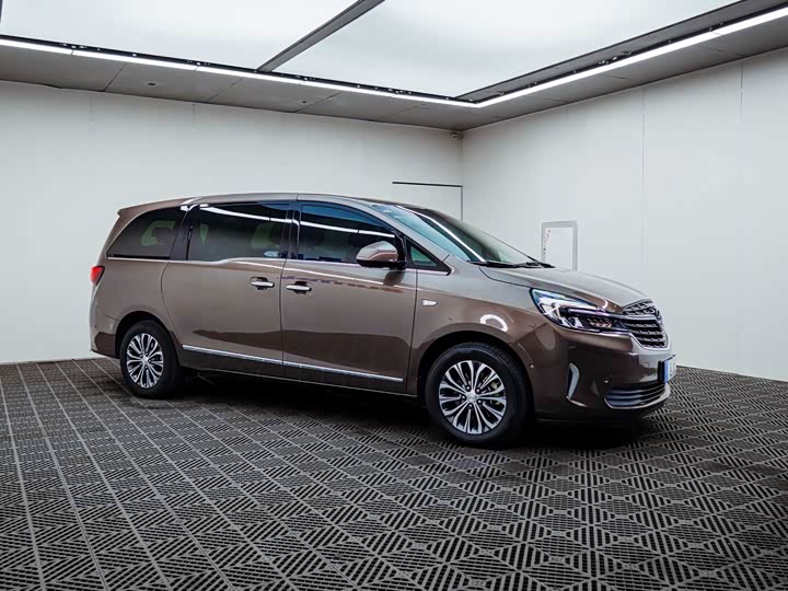 Buick GL8 ES 2020 2020款 陆上公务舱 652T 尊贵型
