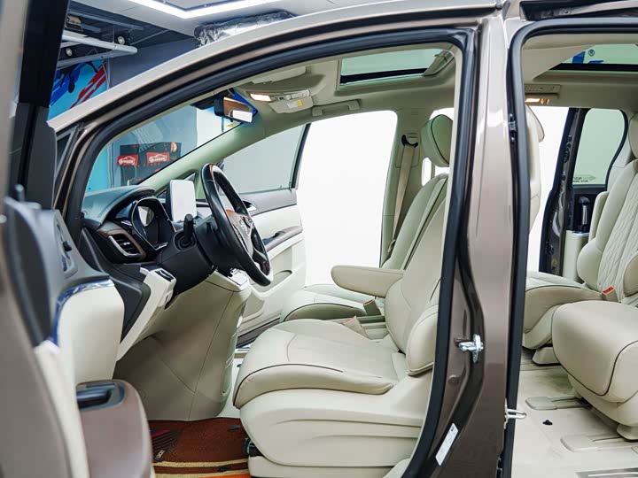 Buick GL8 ES 2020 2020款 陆上公务舱 652T 尊贵型