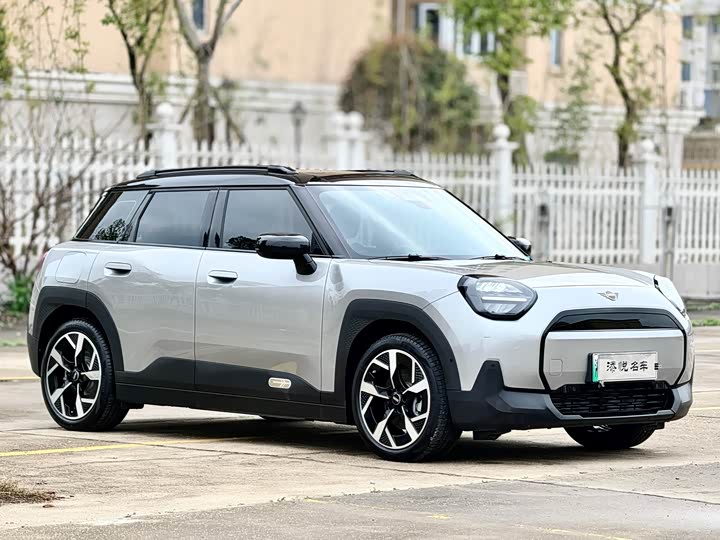 2025 Mini Aceman
