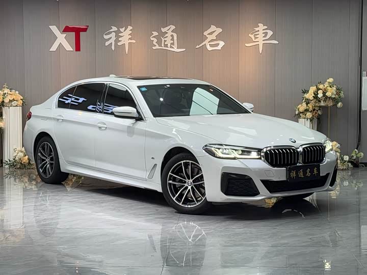 Zdjęcie 3 - BMW 5 Series
