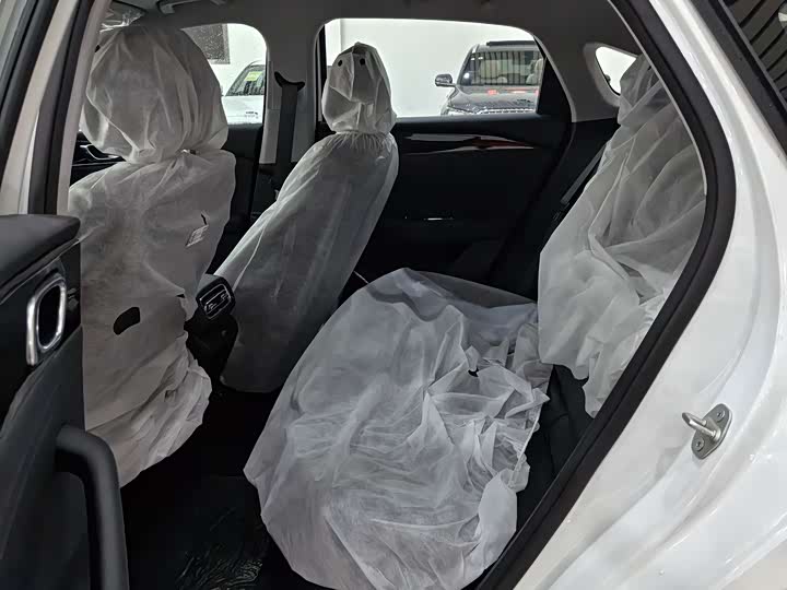 Фото 6 - Geely Galaxy Starshine 6