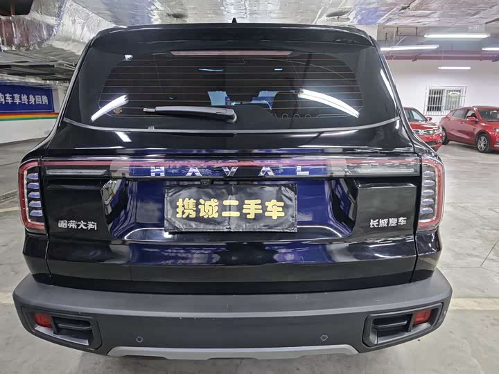 Haval Dargo 2024 2024款 1.5T DCT边牧版