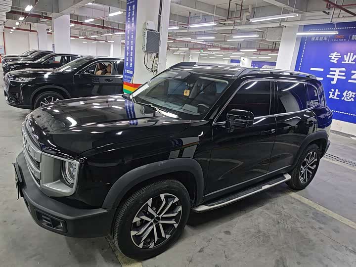 Haval Dargo 2024 2024款 1.5T DCT边牧版