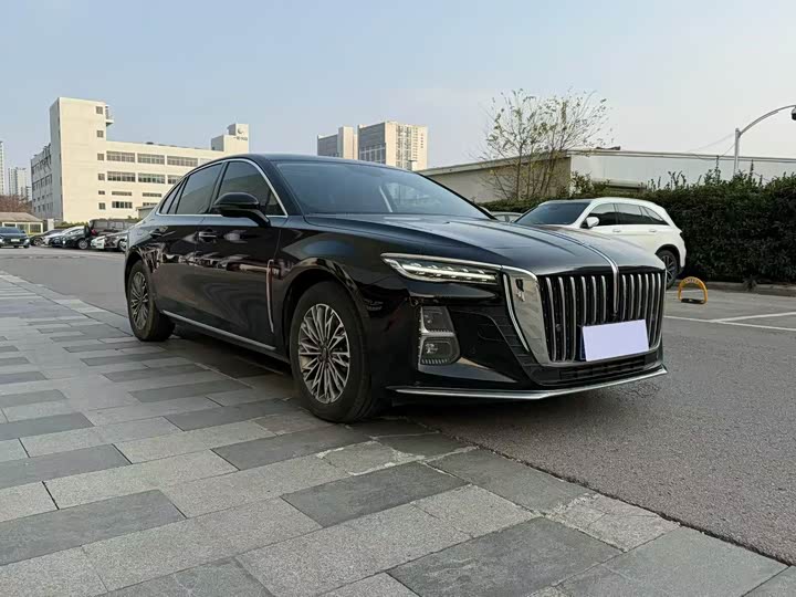 Zdjęcie 3 - Hongqi H5