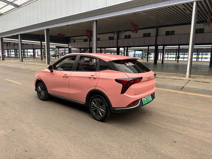 Hozon V 2022 2022款 潮 400 Lite 粉色定制款