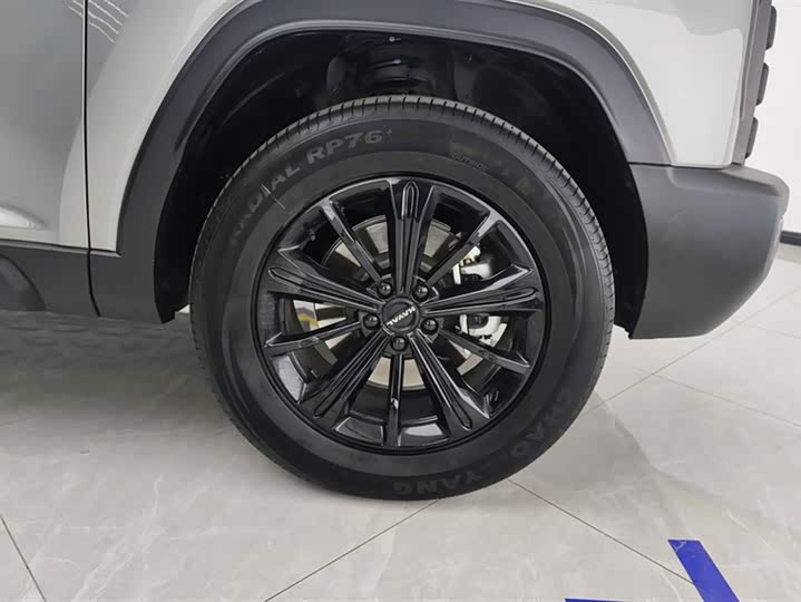 Haval Raptor Hybrid 2024 2024款 Hi4 102 Pro