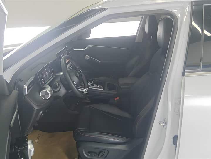 GAC Trumpchi Emkoo 2022 2022款 2.0ATK 双子星版