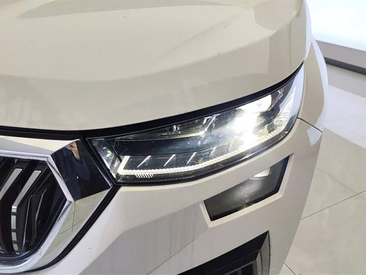 Skoda Kodiaq 2024 2024款 TSI330 5座两驱实力版