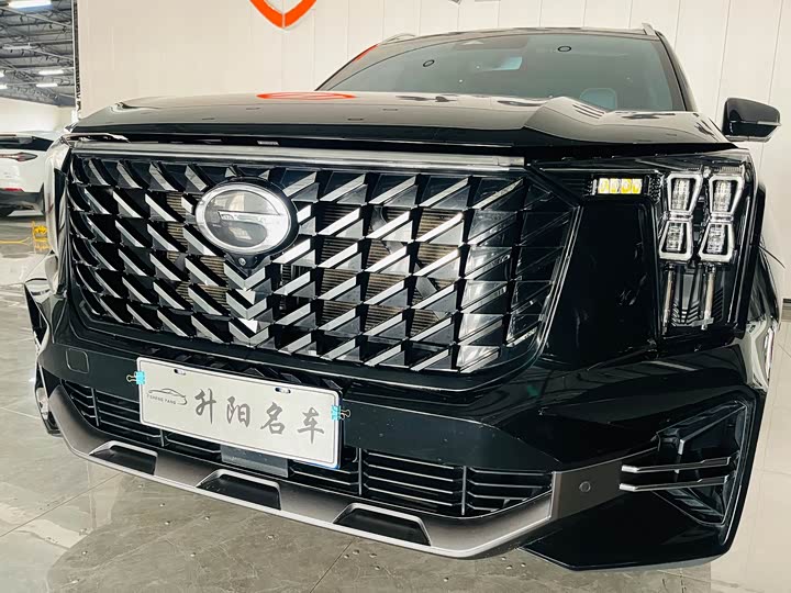 GAC Trumpchi GS8 2024 2024款 领航系列 2.0TGDI 两驱豪华智联版 7座