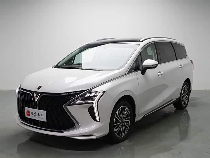2024 Dongfeng Forthing Yacht