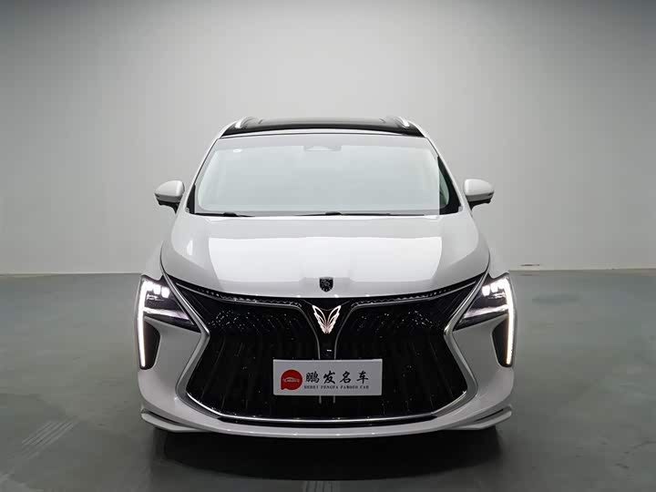 2024 Dongfeng Forthing Yacht