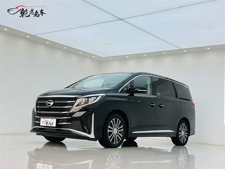 GAC Trumpchi M8 2021 2021款 领秀系列 390T 尊贵版
