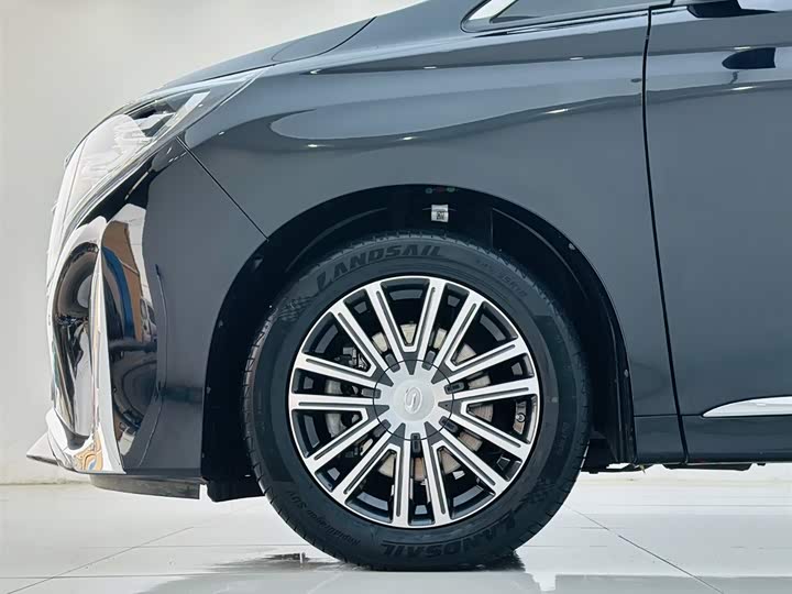 GAC Trumpchi M8 2021 2021款 领秀系列 390T 尊贵版