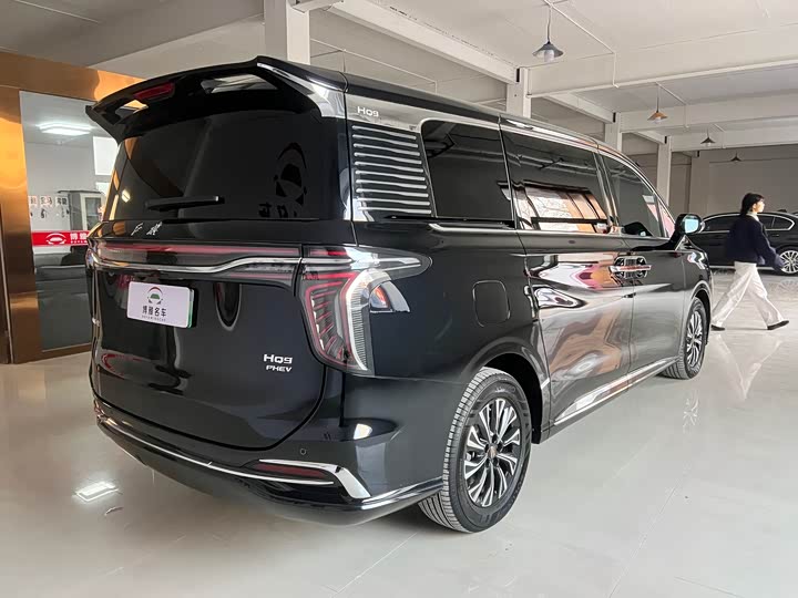 Фото 4 - Hongqi HS7 Hybrid