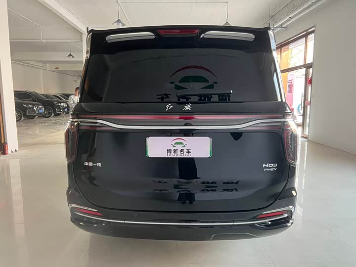 Фото 5 - Hongqi HS7 Hybrid