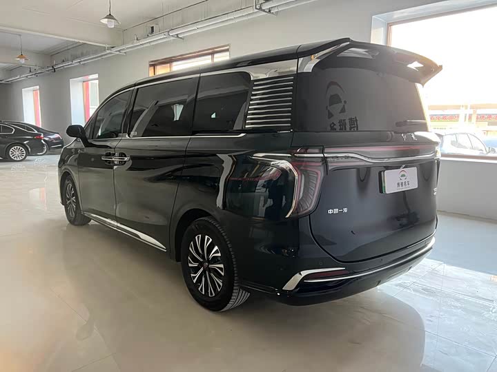 Фото 6 - Hongqi HS7 Hybrid