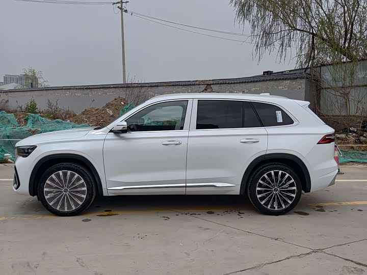 Geely Monjaro 2026 2026款 东方曜 2.0TD 自动揽星版
