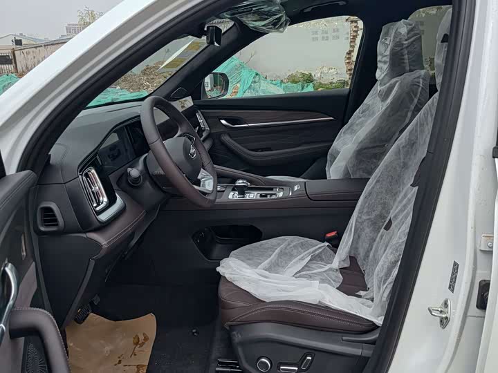 Geely Monjaro 2026 2026款 东方曜 2.0TD 自动揽星版