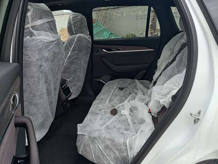 Geely Monjaro 2026 2026款 东方曜 2.0TD 自动揽星版
