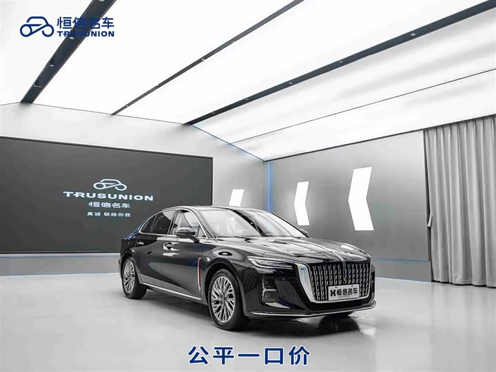 Zdjęcie 1 - Hongqi H5
