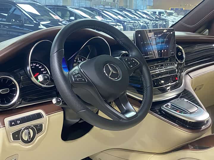 Mercedes-Benz V-Class 2022 2022款 V 260 L 长轴距豪华版