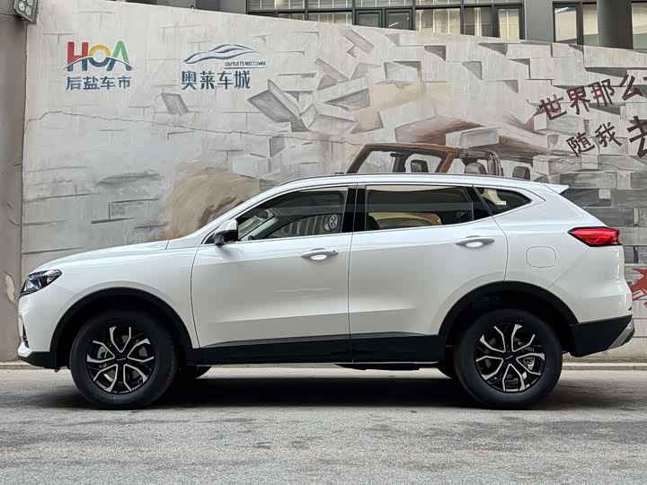 Haval H6 2025 2025款 1.5T 国潮都市版