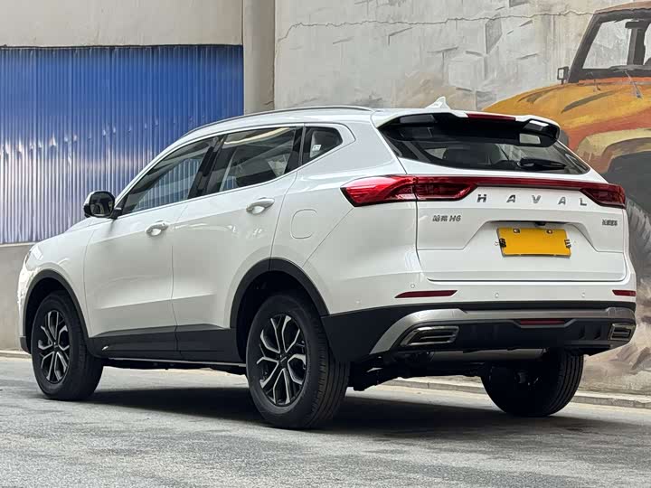 Haval H6 2025 2025款 1.5T 国潮都市版