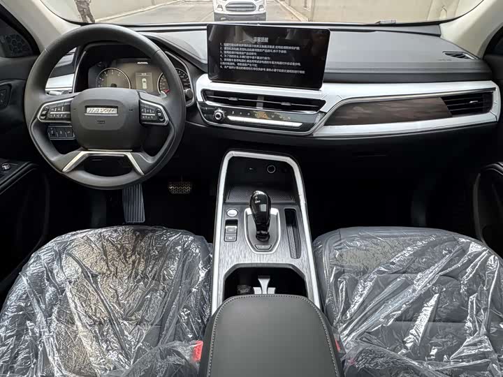 Haval H6 2025 2025款 1.5T 国潮都市版