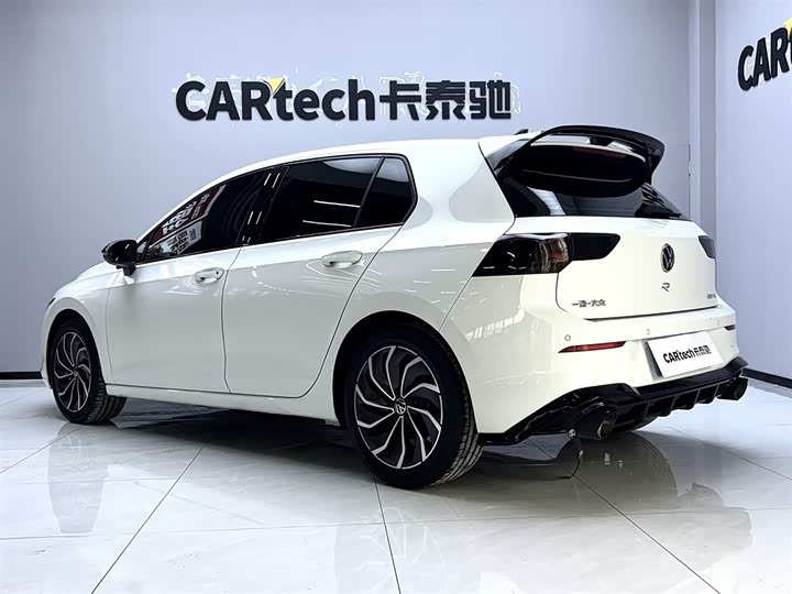 Volkswagen Golf 2024 2024款 280TSI DSG Pro 达人版