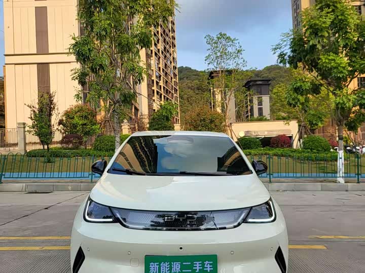 Фото 2 - BYD Dolphin