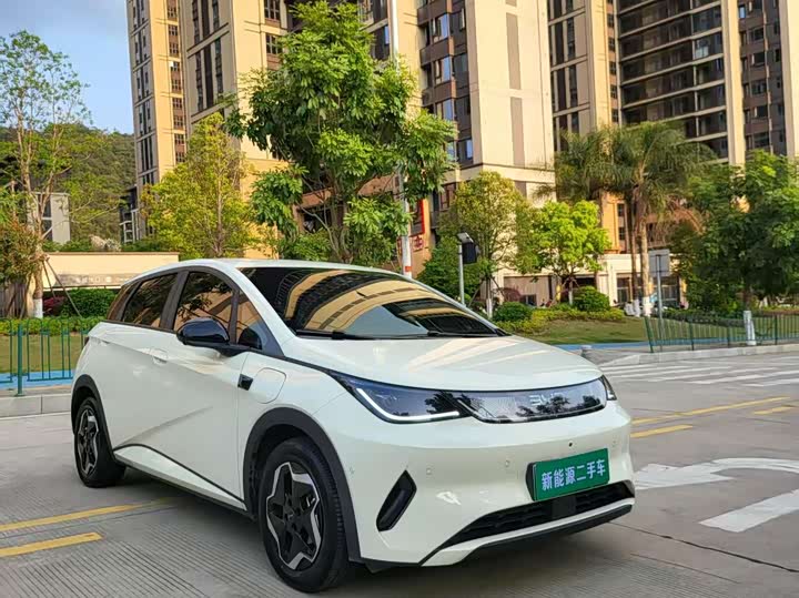 Фото 3 - BYD Dolphin