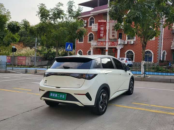 Фото 7 - BYD Dolphin