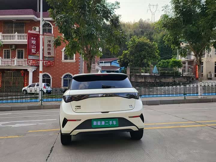 Фото 8 - BYD Dolphin