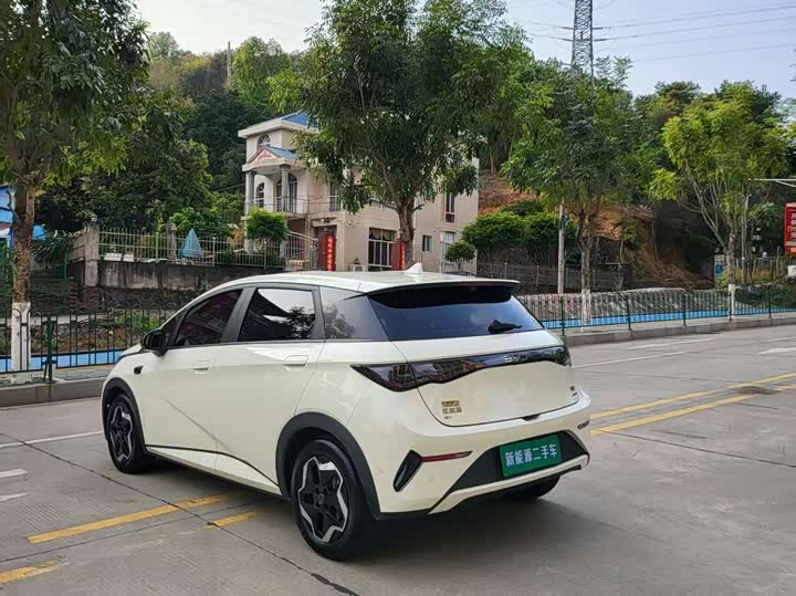 Фото 9 - BYD Dolphin