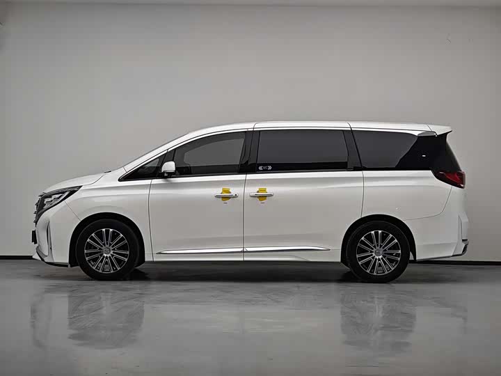 GAC Trumpchi M8 2021 2021款 领秀系列 390T 至尊版